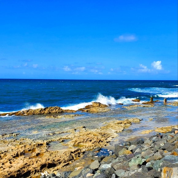 Meet your Posher - Picture 1 of 1